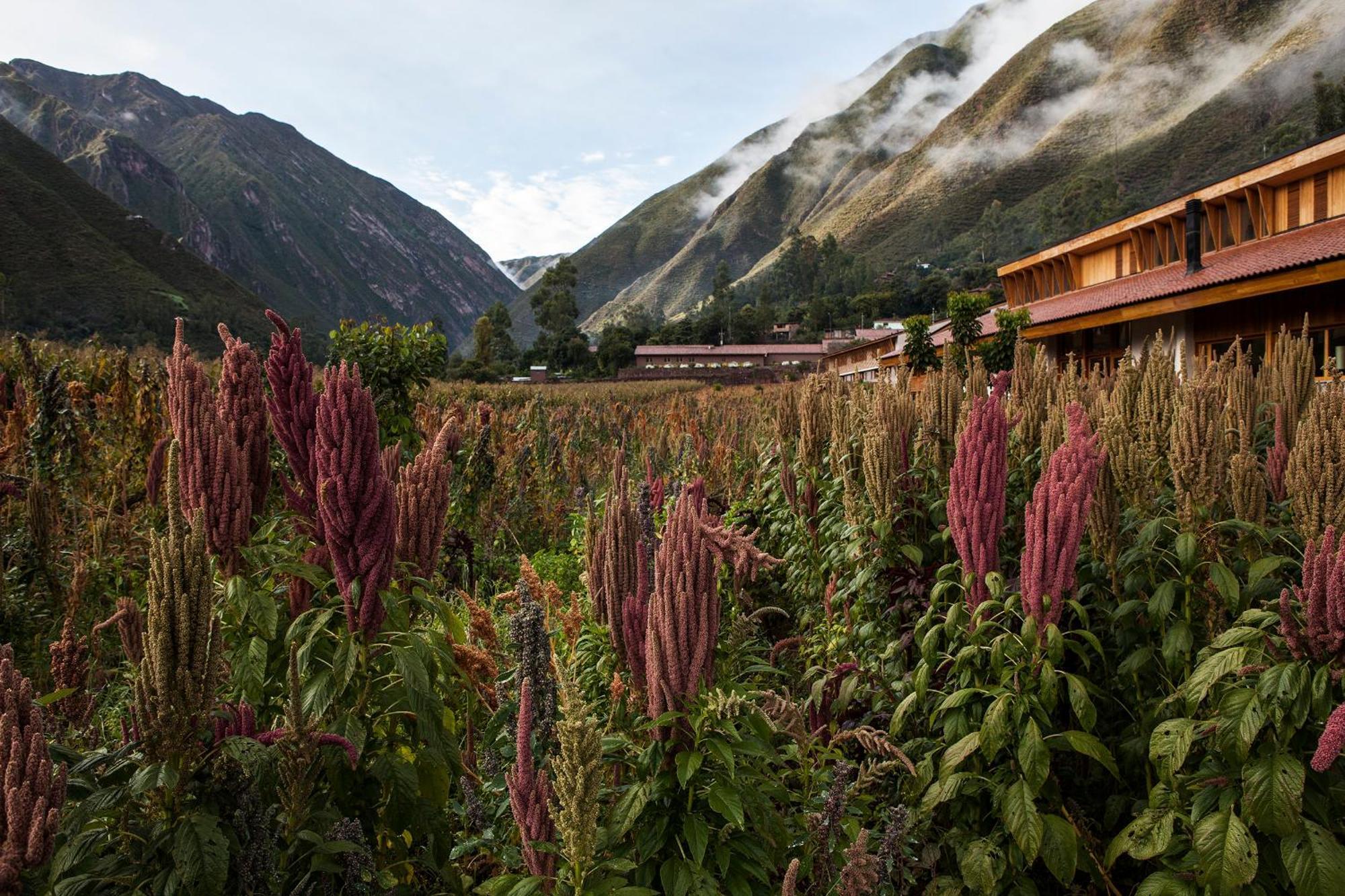 Explora Valle Sagrado Urubamba Buitenkant foto